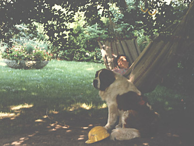 Die Seele mal baumeln lassen